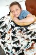 Stallion Blanket Sale