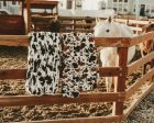 Hugs Brown Cow Blanket Hot on Sale