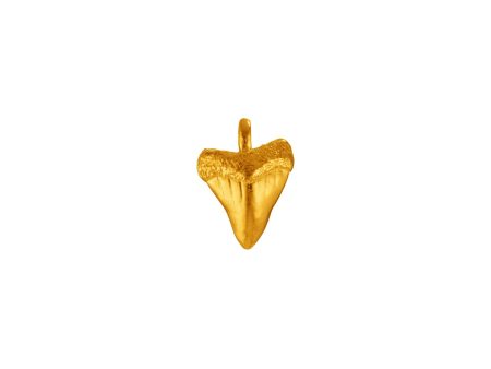 Shark Tooth Pendant Hot on Sale