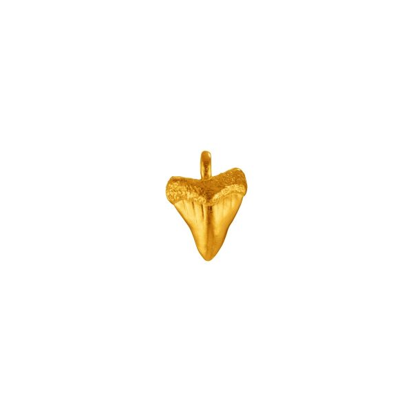 Shark Tooth Pendant Hot on Sale