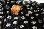 Paw-Fect Blanket Supply