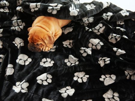 Paw-Fect Blanket Supply